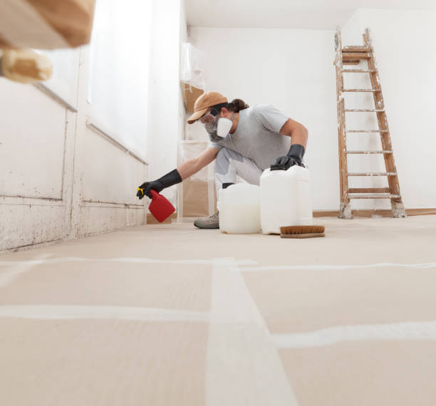 Best Commercial Mold Inspection  in Mayfair, CA